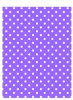 HILCO Microfibre Spectacle Cleaning Cloth ~ Purple Polka Dots 44/646/09999